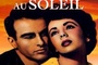 Affiche du film Une place au soleil