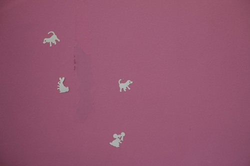 chatons