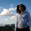 Katie Jarvis