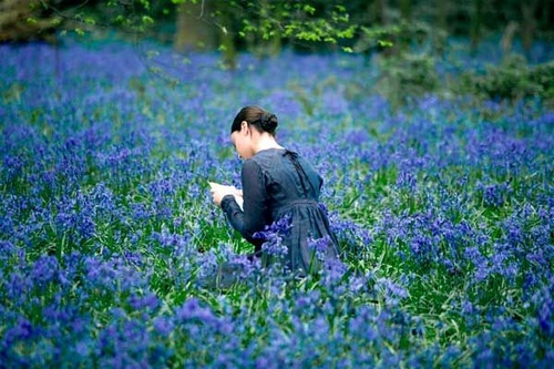 photo inspirant l affiche