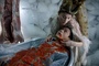 laetitia casta et lee kang sheng