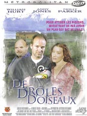 Affiche du film De drôles d'oiseaux