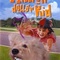 Affiche du film The Million Dollar Kid - The Million Dollar Kid 