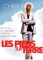 Les pieds sur terre