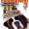 Affiche du film Beethoven 3 - Beethoven 3 