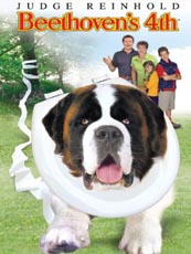 Affiche du film Beethoven 4