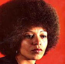  Angela Davis 