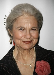  Lynn Cohen