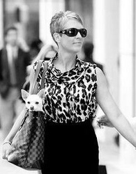  Jamie Lee Curtis