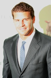  David Boreanaz