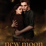 New Moon et Eclipse : affiches et photos !