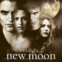 Des bonus de choix sur la B.O de Twilight 2 !