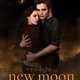 Twilight : rencontrez les acteurs de la saga !