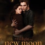 Twilight : rencontrez les acteurs de la saga !