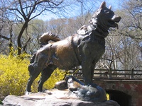 Balto n'a qu'à bien se tenir!