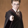 Harry Potter en 3D?