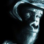 Cette Planète des singes que personne ne veut...