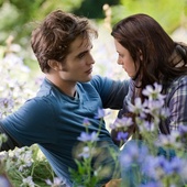 Twilight 3 : Hésitation : un nouveau monteur !