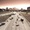 Brad Anderson sur l'autoroute 666