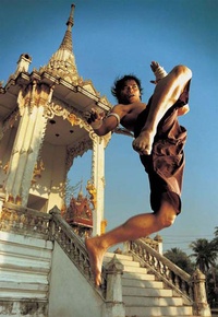 Tony Jaa arrête le cinéma pour devenir moine !