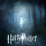 Harry Potter 7 : la bande annonce française !!!