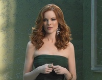 Desperate Housewives : Une nouvelle conquête pour Bree ?