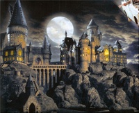 Un parc d’attraction Harry Potter ouvre à Londres !