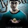 Qui aura droit à Harry Potter en avant-première ?