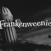 Tim Burton a son casting pour Frankenweenie