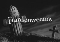 Tim Burton a son casting pour Frankenweenie