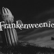 Tim Burton a son casting pour Frankenweenie