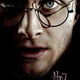 Harry Potter et les reliques de la mort : 2 millions d'entrées