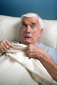 Décès du comédien Leslie Nielsen