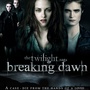 Twilight, Harry Potter...: bonne année 2011 !