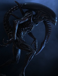 Mise à jour pour le préquel d'alien