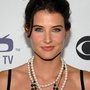 Robin de HIMYM sera dans The Anvengers !