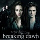 Twilight 4 chapitre 2 : J-320 avant la sortie !  