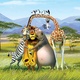 Madagascar 2 photos!!