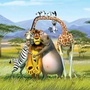 Madagascar 2 photos!!