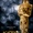 Oscars 2012 : retrouvez tous les noms des nominés de la 84ème cérémonie (MàJ)