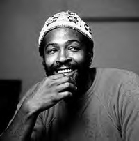 Marvin Gaye sur grand écran