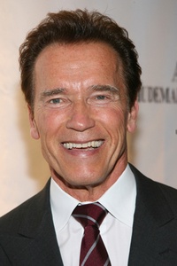 Nouveau projet pour David Ayer avec Arnold Schwarzenegger 