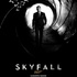 Skyfall : première affiche de James bond