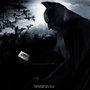 Ben Stiller détrône Batman