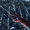 The Amazing Spider-man et Avengers, c'est possible !