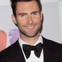 Adam Levine jouera dans Can A Song Save Your Life ?