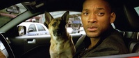 Je suis une légende 2, Will Smith ne reprendrait pas son rôle !