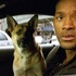 Je suis une légende 2, Will Smith ne reprendrait pas son rôle !
