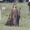 Maleficent, Angelina Jolie sur le plateau