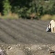 The Farm, spin-off de The Office : infos sur les personnages